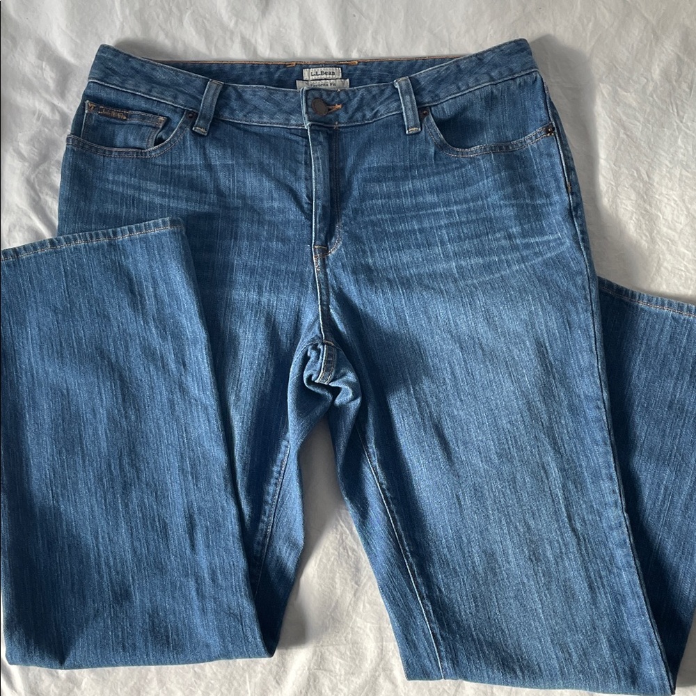 L.L. Bean Women's Straight Leg Perfect Fit Blue Jeans Sz 10P